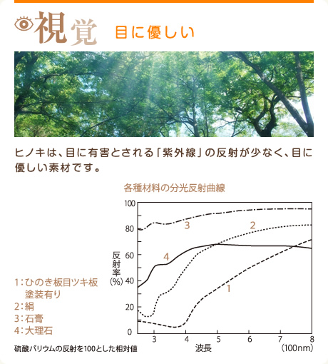 〈視覚〉目に優しい